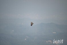 “空中王者”，现身湘潭！
