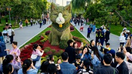 小而美的日坛公园，如何一周圈粉30万人次？