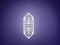 尊界最新回应