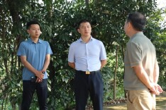 西湖管理区：吉海波走访调研全区重点工作