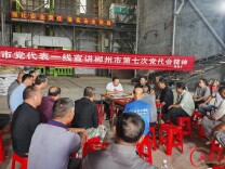 安仁县牌楼乡：一线宣讲市党代会精神