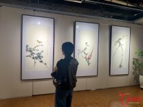 赴一场花鸟之约！“不尽清香淡淡来——曾景祥写意花鸟画展”在湘潭开幕