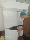 东安县启德学校：提质护航舌尖安全，暖心守护学生成长