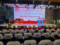 衡阳市石鼓区都司街碧桂园小学：拒绝校园欺凌，守护少年晴空