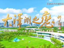 《大泽湖之恋》MV上线！用歌声遇见大美望城