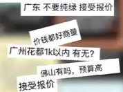 “找搭子”藏灰色交易：酒托、旅游托设局消费，24瓶啤酒收938元，有偿陪伴暗语引流