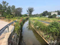 选票载民意 实事润民心——湘潭市实施民生实事项目人大代表票决制纪实