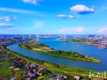 乌雕现身湘潭引网友热议 好空气助力观鸟赏秋