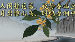 “人闲桂花落” 写的原来不是秋天 | 一千零一页（19）