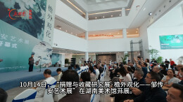 “我把‘一生’都交给了湖南美术馆”，邹传安艺术展亮相长沙