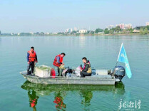喜看多种鱼群跃湘江——湘潭市聚力书写湘江湘潭段水生生物资源监测新答卷