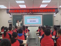 安化县第五教研区小学科学教学竞赛暨技能培训活动精彩纷呈