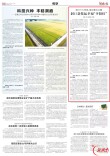 紧盯三大领域，建设整治并重  洞口县托起幸福“夕阳红”｜湖南日报