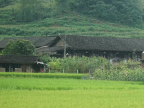岳父