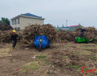 大通湖区｜疏堵结合，看河坝镇新秀村、老河口村如何推进秸秆禁烧和综合利用