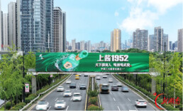 湘酒高端赛道新观察：“武陵现象”背后，本土名酒的周期突围