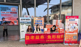 桑榆绽芳华，重阳颂晚晴！益阳这场银龄盛会点亮最美夕阳红