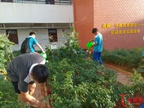 湘潭市第十二中学开展种植烹饪全流程劳动实践