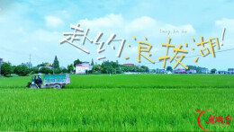 沿着藕池河看家乡｜赴约浪拔湖
