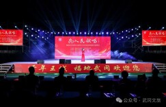 名家荟萃唱响千年王城 “为人民歌唱” 公益演唱会在武冈圆满落幕