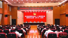 共青团邵阳市第二十届委员会第四次全体（扩大）会议召开