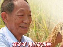 一稻济世，万家粮足！世界粮食日，再听一听袁爷爷的话