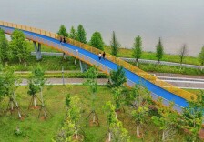 每天快走VS抽空跑几公里，谁更容易长寿？