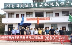 株洲市“候鸟迁徙通道护鸟飞”巡护宣传系列活动在炎陵县牛头坳启幕
