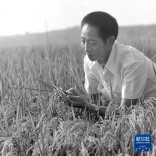 今天，我们格外怀念他