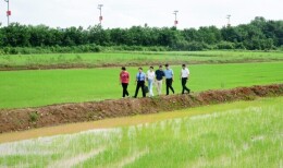 代表线索赋能检察监督 6.54亩基本农田“重披绿装”