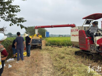 一渠碧水串起两岸丰收图——韶山灌区秋收走访侧记