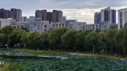 长沙岳麓山脚，城市风光随手拍丨湖南真美