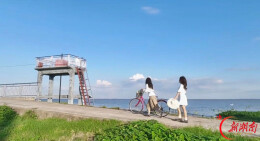 沿着藕池河看家乡｜寻梦青树嘴