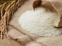 常德市启动2026年世界粮食日暨粮食安全宣传周活动