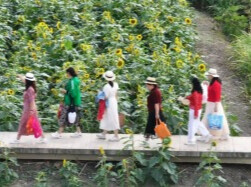 重阳节银发族开启错峰游：“县城康养”搜索热度同比增长203%