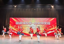 湖南湘江新区桔子洲街道岳南村社区举行企业退休人员重阳节文艺汇演