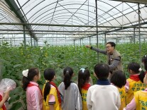 “田间课堂”火了！中小学生扎堆来君山蔬菜科技园研学