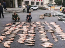 凌晨出击！岳阳多部门联合执法查获一起非法捕捞案