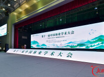 破局林草转型！院士专家开方：让学问出“孤岛”，给绿色装“大脑”