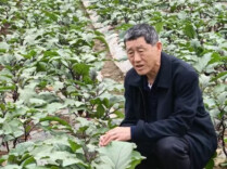 党佑坤：把论文写在田埂上，把学问扎进泥土里｜潇湘银辉