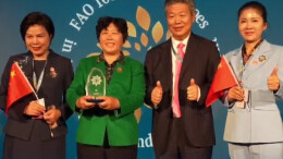 三位中国女性站上联合国领奖台 湖南农人董敏芳：把最小的事做精，世界会看见