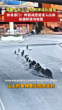 凌晨大街上18头野猪组队遛弯 林业部门：野猪或借道重入山林