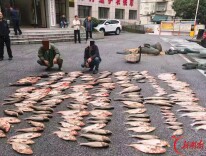凌晨抓捕，人赃并获！