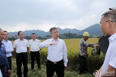曾超群赴双峰县、娄星区调研晚稻收割工作