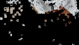 机器人包了一个馄饨，为什么让人这么激动