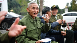 马桑树下重阳暖