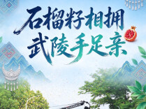 海报丨《民族团结进步促进法》第三章