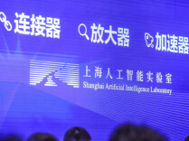 当国产AI闯入前沿数学，有什么比解题更重要？