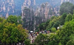 峰林蝶变五春秋 山水扬帆向一流——武陵源建设世界一流旅游目的地纪实