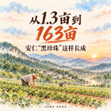 创意海报丨从1.3亩到163亩，安仁“黑珍珠”这样长成
